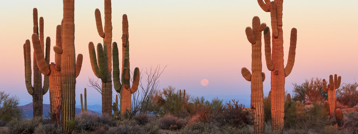Banner image of Broadway